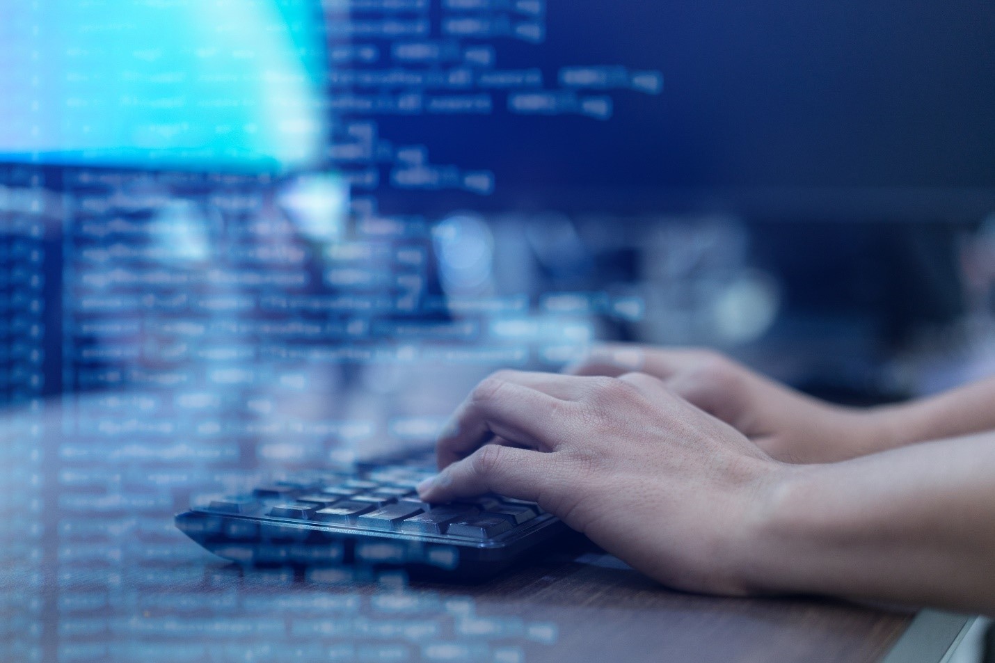 Information Technology Occupational Program